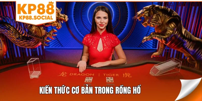 Kiến thức cơ bản trong Rồng Hổ