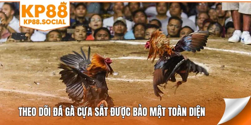 Theo dõi đá gà cựa sắt được bảo mật toàn diện
